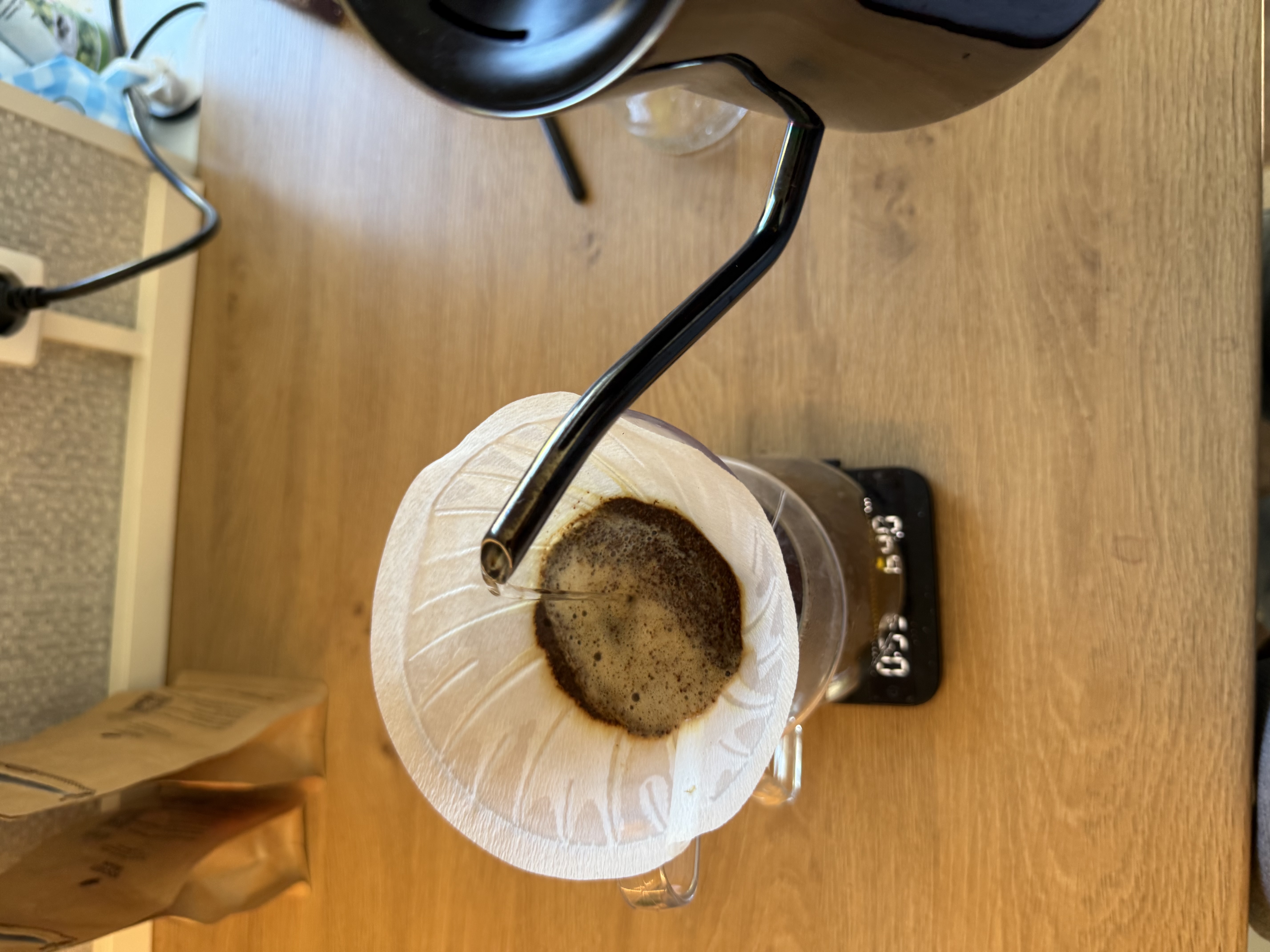 coffee-bloom